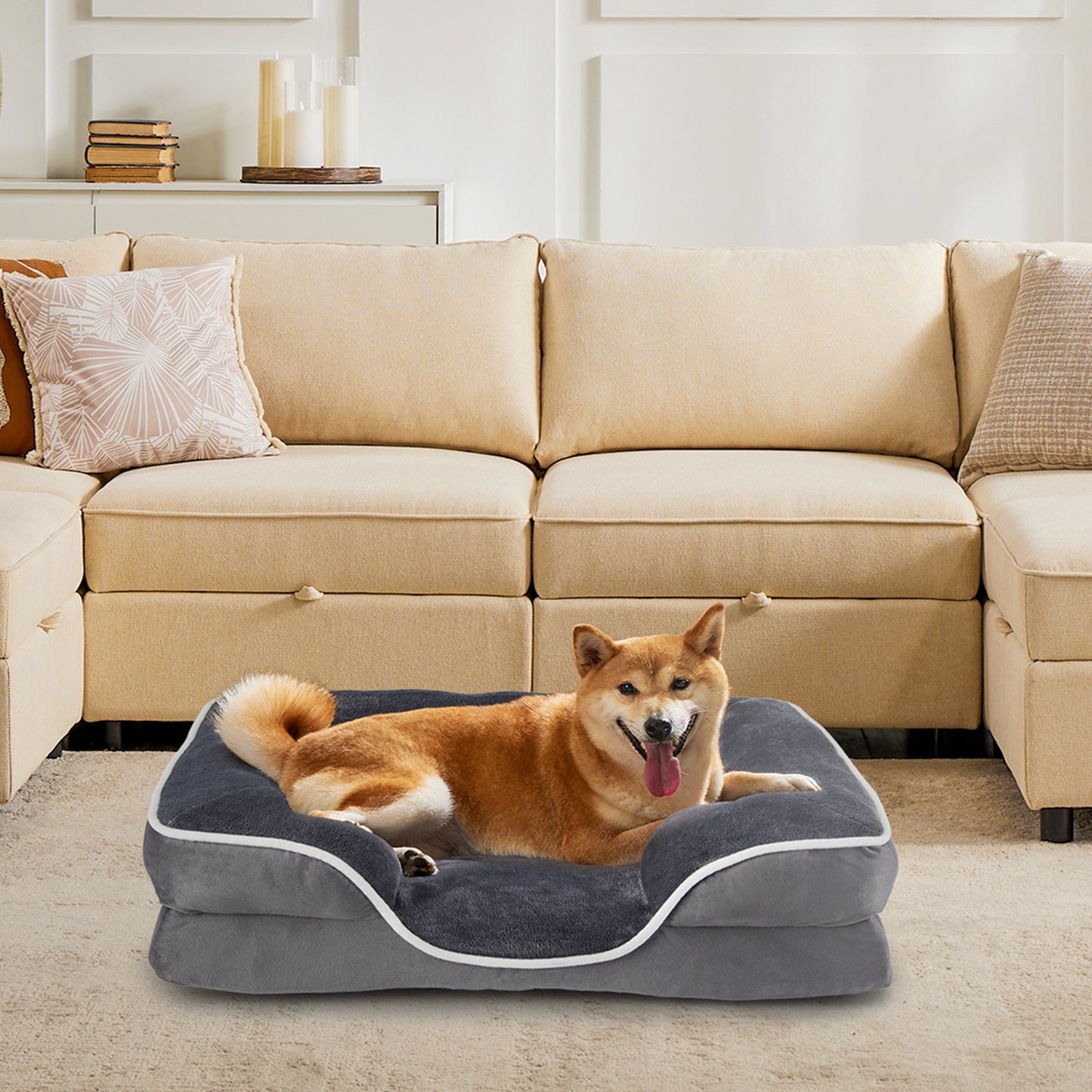 Paws In Need™ Orthopedic Memory Foam Comfort Bed